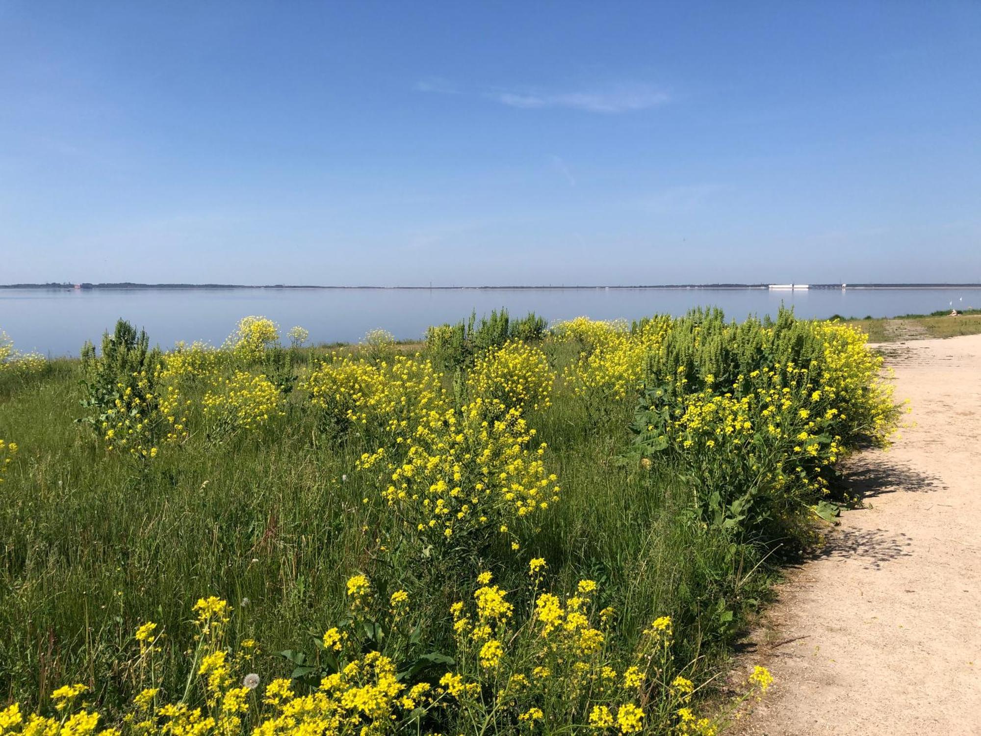 Skolas 1 Salaspils Exteriér fotografie